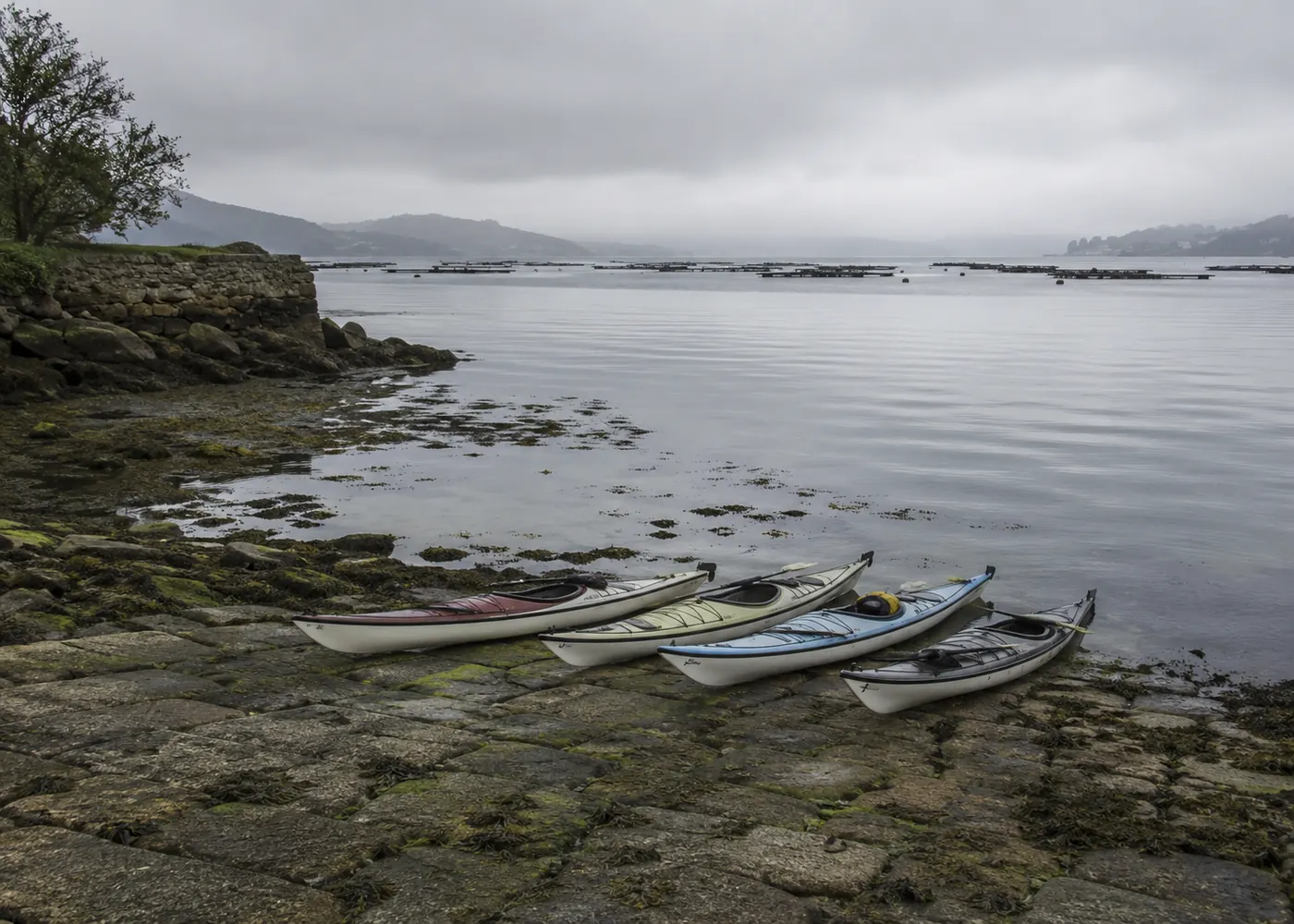 Kayaks en la orilla